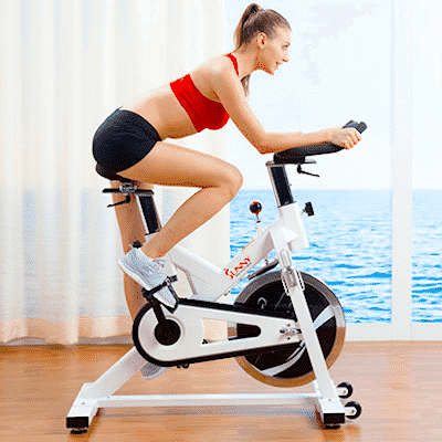 Sunny Health & Fitness Sf-b1110