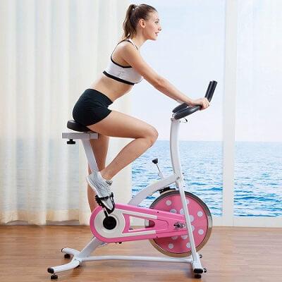 Sunny health and fitness indoor cycling bike (pink)